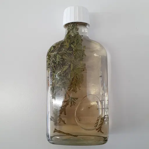 Водная настойка на побегах туи западной 200 мл - фото 2