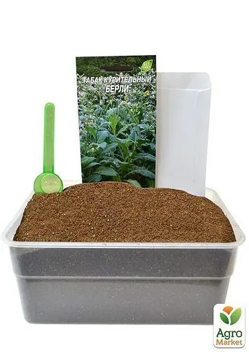 Семена Табак для курения "Берли" Весна 1г (22480) - фото 2