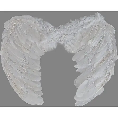 Крылья ангела - фото 1