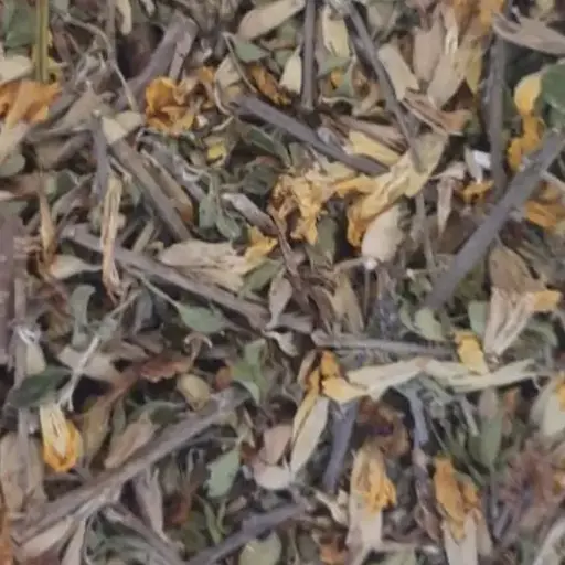 100 г рокитник трава сушена