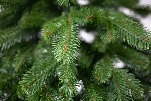 Искусственная елка EverLume VIP литая 210 см - фото 2