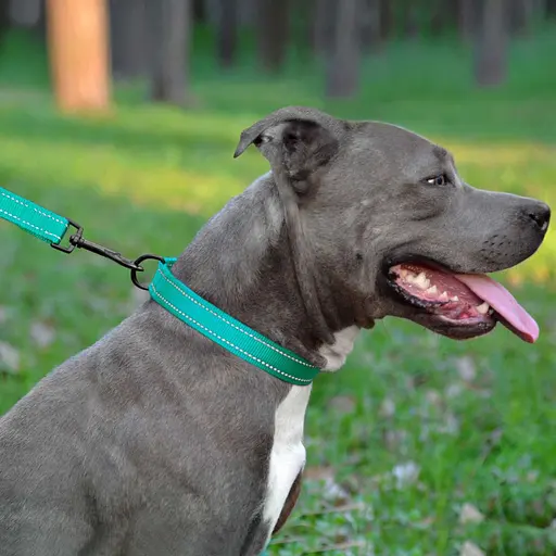 Поводок для собак Barksi Active 152х2 см ментоловый - фото 7