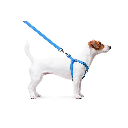 Шлея для собак водостійка Waudog Waterproof з QR-паспортом металічна пряжка-фастекс Ш 15 мм Д 40-55 см блакитний - фото 5