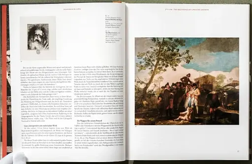 Goya. The Complete Prints - фото 11