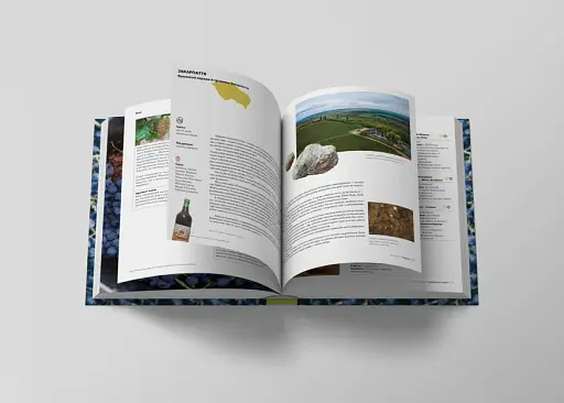 Нерозказана історія українського виноробства - фото 4