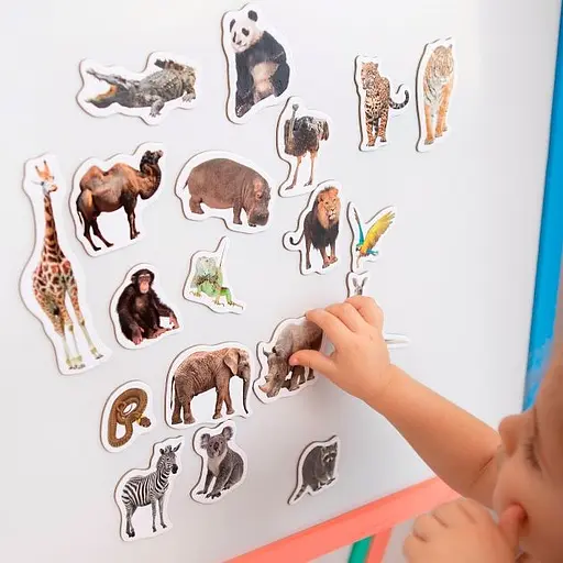 Набір магнітів Зоо 19шт ML4031-02 EN - фото 4