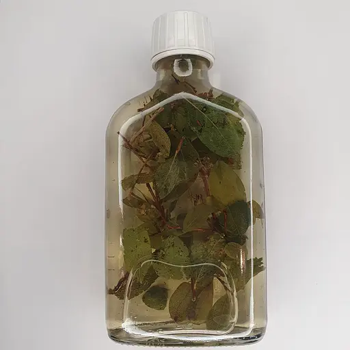 Настоянка на листі лохини 200 мл - фото 2