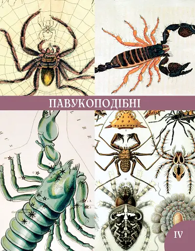 Розповіді про тварин та їх назви - фото 8