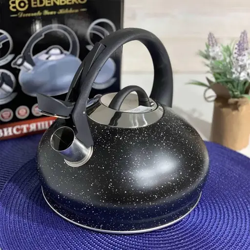 Чайник из нержавеющей стали 3.0 л Edenberg EB-8812 черный