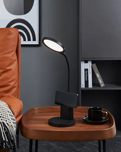 Настольная лампа BROLINI EGLO 900528 - фото 3