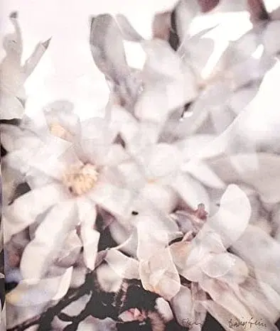 Flowers! In the Art of the 20th and 21st Centuries (Bilingual edition) - фото 2