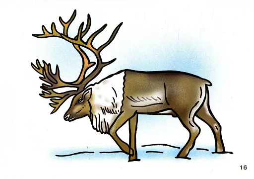 Я досліджую світ. 1-4 класи. Свійські тварини. Комплект наочності - фото 3