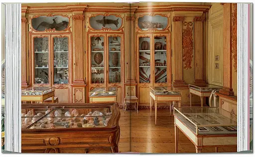 Cabinet of Curiosities - фото 7