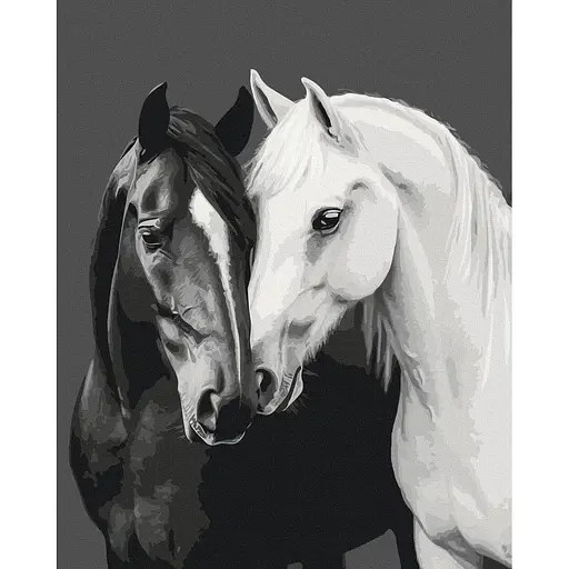 Картина за номерами на підрамнику Brushme Чорне і біле серце