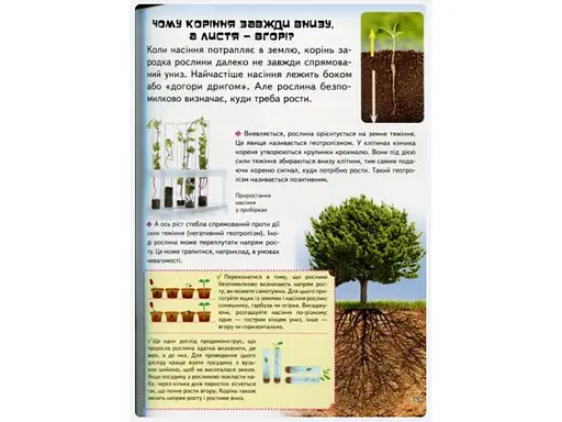 Книга Велика дитяча енциклопедія, Пегас (укр) - фото 7