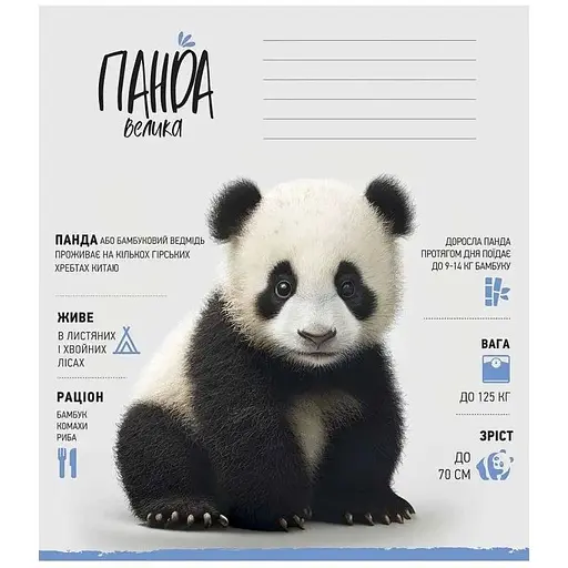 Зошит учнівський "Wild world" Школярик 012-3279К 12 аркушів (482000647043203279)(SC) - фото 1