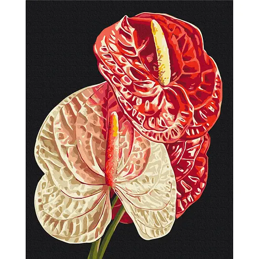 Картина за номерами "Антуріум" Brushme BS54136, 40х50 см - фото 1