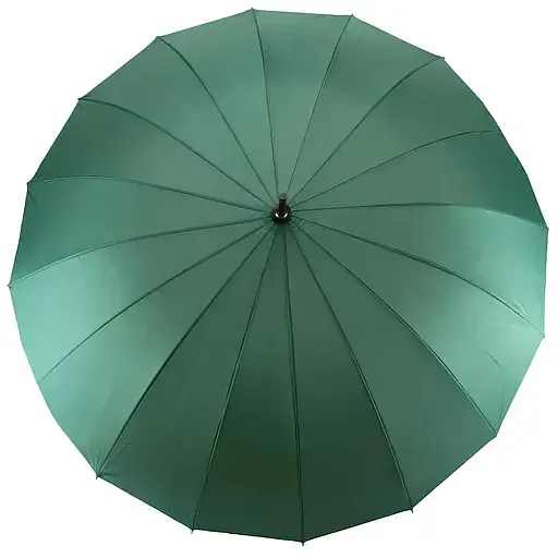 Зонтик Semi Line Green (DAS303082) - фото 2