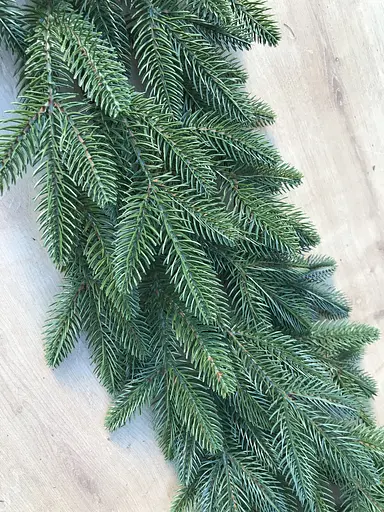 Хвойні гірлянди Hvoya Classic литі зелені (7 шт. x 2 м) - фото 6