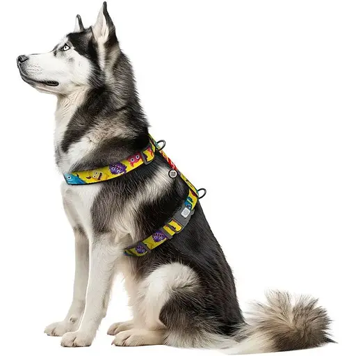 Шлей для собак Waudog анатомическая H-образная Nylon с QR-паспортом Мохнатые монстры XL Ш 35 мм - фото 3