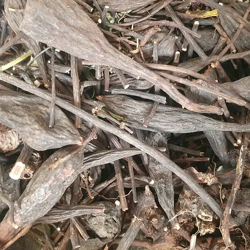 Таволга/гадючник коріння сушене - свіжий урожай 100 г 