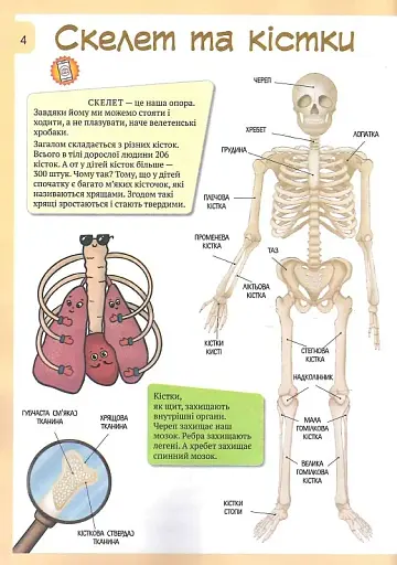 3D Книга "Тіло людини" з доповненою реальністю - фото 4