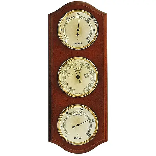 Метеостанція Moller 203378 Walnut (203378) - фото 1