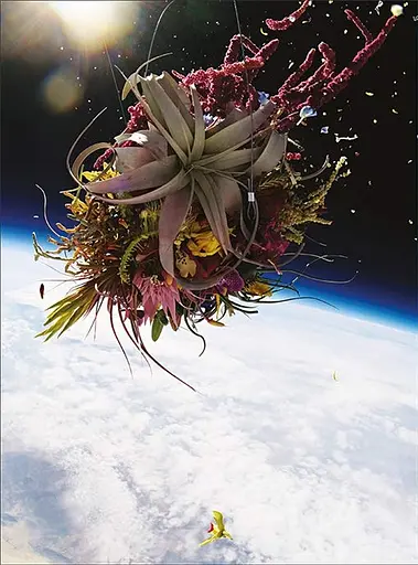 Flower Art. Makoto Azuma - фото 12