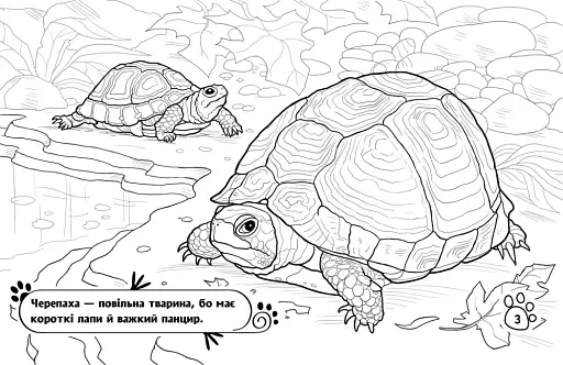 Розмальовка з тваринами. Тварини в оселі - фото 3