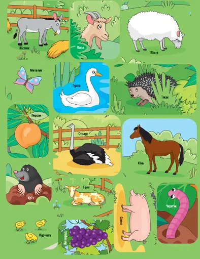 Тваринки у селі - фото 8