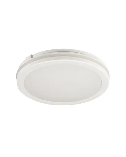 Уличный светильник Kanlux 38384 BENO ECO LED 1x30 3000K/4000K/6500K 2850/3150/3050Lm IP65 белый - фото 1