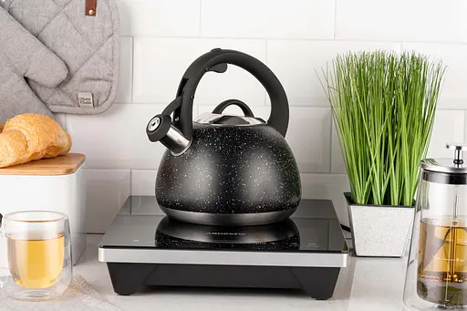 Чайник Ardesto Gemini 2.5 л нержавеющая сталь - фото 3