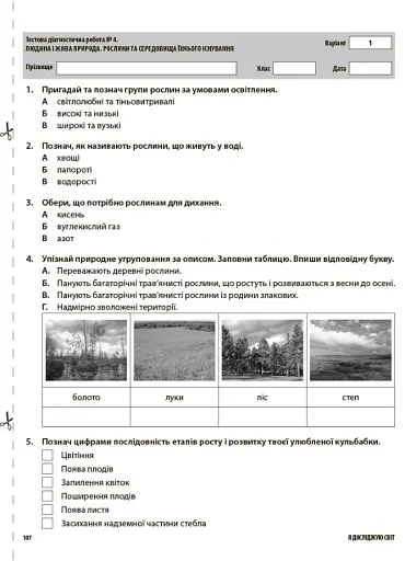 Оцінювання. Усі діагностичні роботи. 3 клас - фото 6
