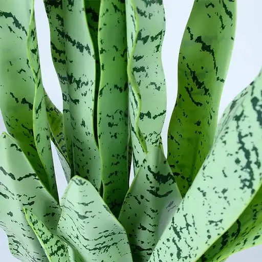 Штучна рослина Sansevieria 65 см (DW-11) - фото 4
