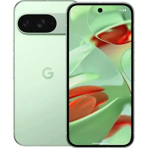 Смартфон Google Pixel 9 12/128GB Wintergreen - фото 1
