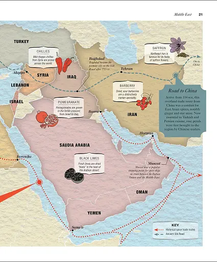The Science of Spice - фото 6