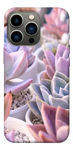 TPU чохол Ехеверія 2 - фото 1