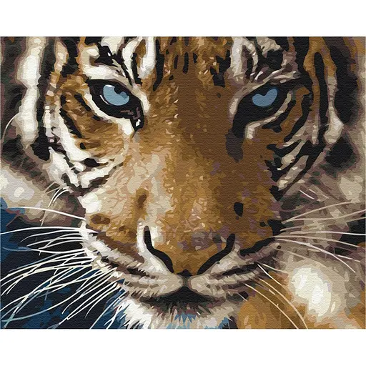 Картина за номерами Погляд тигра Brushme 40x50 см кольорова 000277716