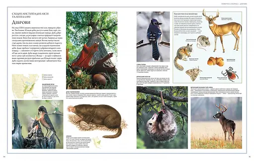 Ілюстрований Атлас. Світ тварин - фото 3