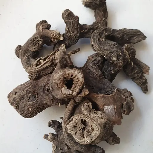 100 г норичник узловатый/шишковатый корень сушеный - свежий урожай