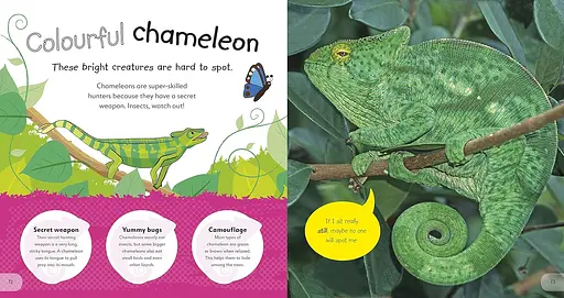 The Incredible Fold-Out Book of Animals - фото 2