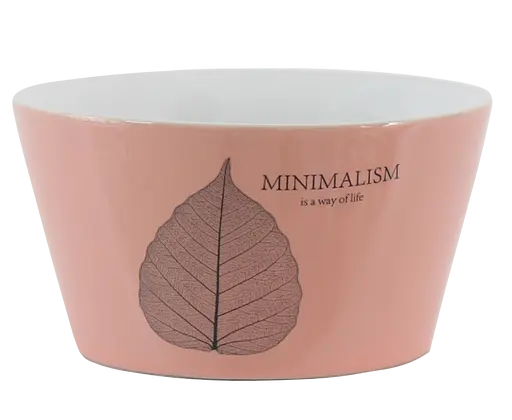 Уценка. Салатник Limited Edition Minimalism, цвет коралловый, 480 мл (6583573)