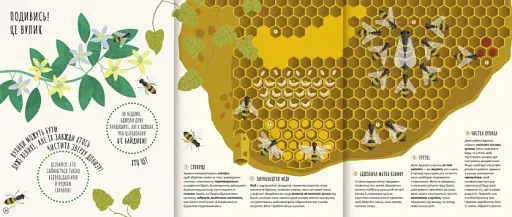 Хто всередині? Відкривай таємний світ тварин - фото 3