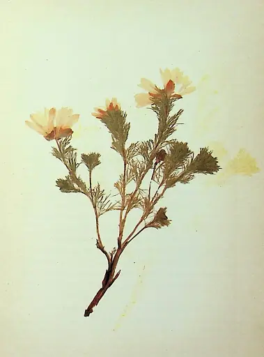 Південні вірші - фото 3