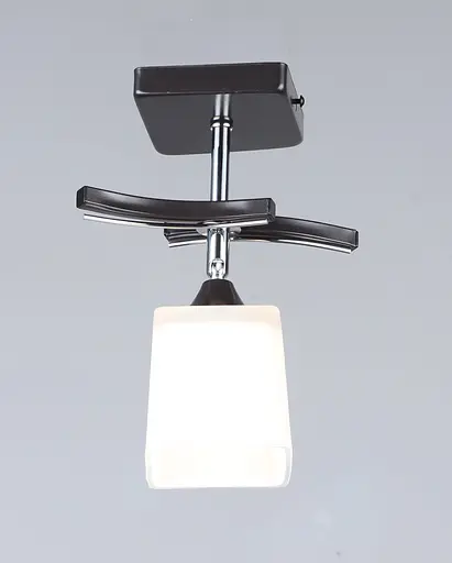 Потолочный светильник B N1435/1 (черный)