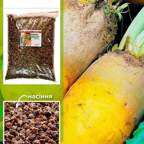 Свекла Кормовая "Центаур" ТМ "Весна" 500г (15222) - фото 1