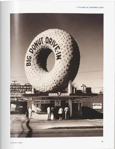 California Crazy. American Pop Architecture - фото 5