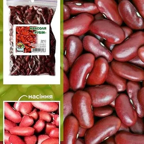 Квасоля "Рубін" ТМ "Весна" 100г (24117) - фото 1