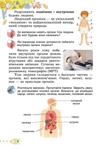 Я досліджую світ 3 клас. Підручник. Частина 2 - фото 3
