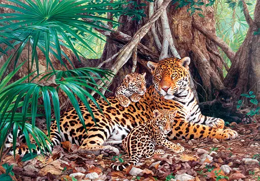 Пазли Castorland Ягуар, C-300280